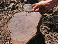 Rock in Quarry of Ventura County Sandstone (photograph by Labe Kopelov of Kopelov Cut Stone, Inc., NM)
