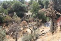 View of Griffith Penryn Quarry October 2010