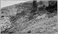 Old quarry in sandstone bluff 3 miles southwest of Salmon